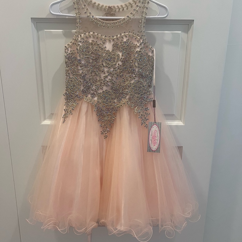 Cinderella Silver Pink Halter Fit and Flare Dress